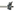 Stage 1 Bronco/Ranger Raptor Steering image 3