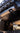 Ranger Raptor Skid Plate image 0