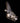 New-Gen Toyota Portal Axle image 2