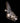 New-Gen Toyota Portal Axle image 2