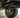 Bronco/Ranger Raptor Portal Axle image 4