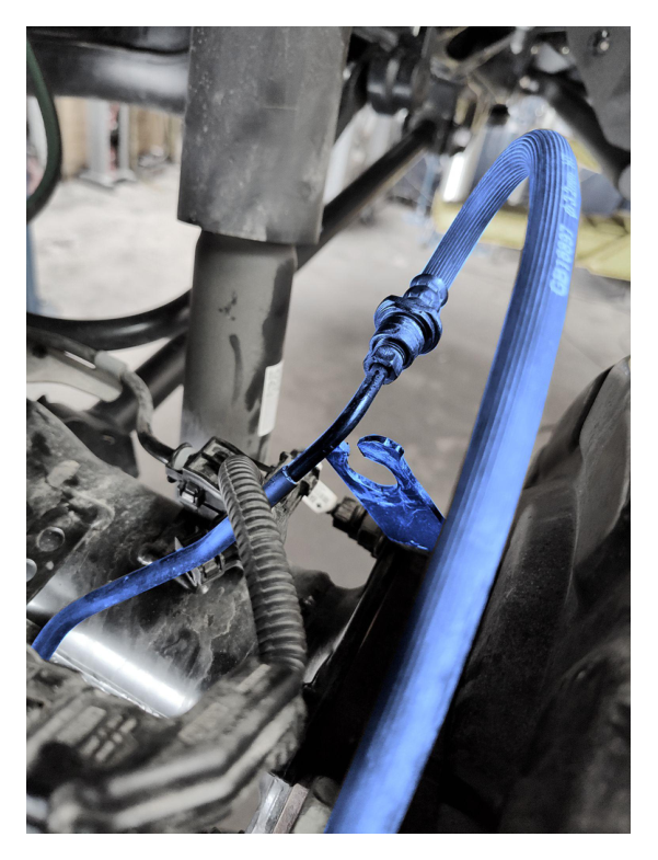 Remove rear brake caliper bolts