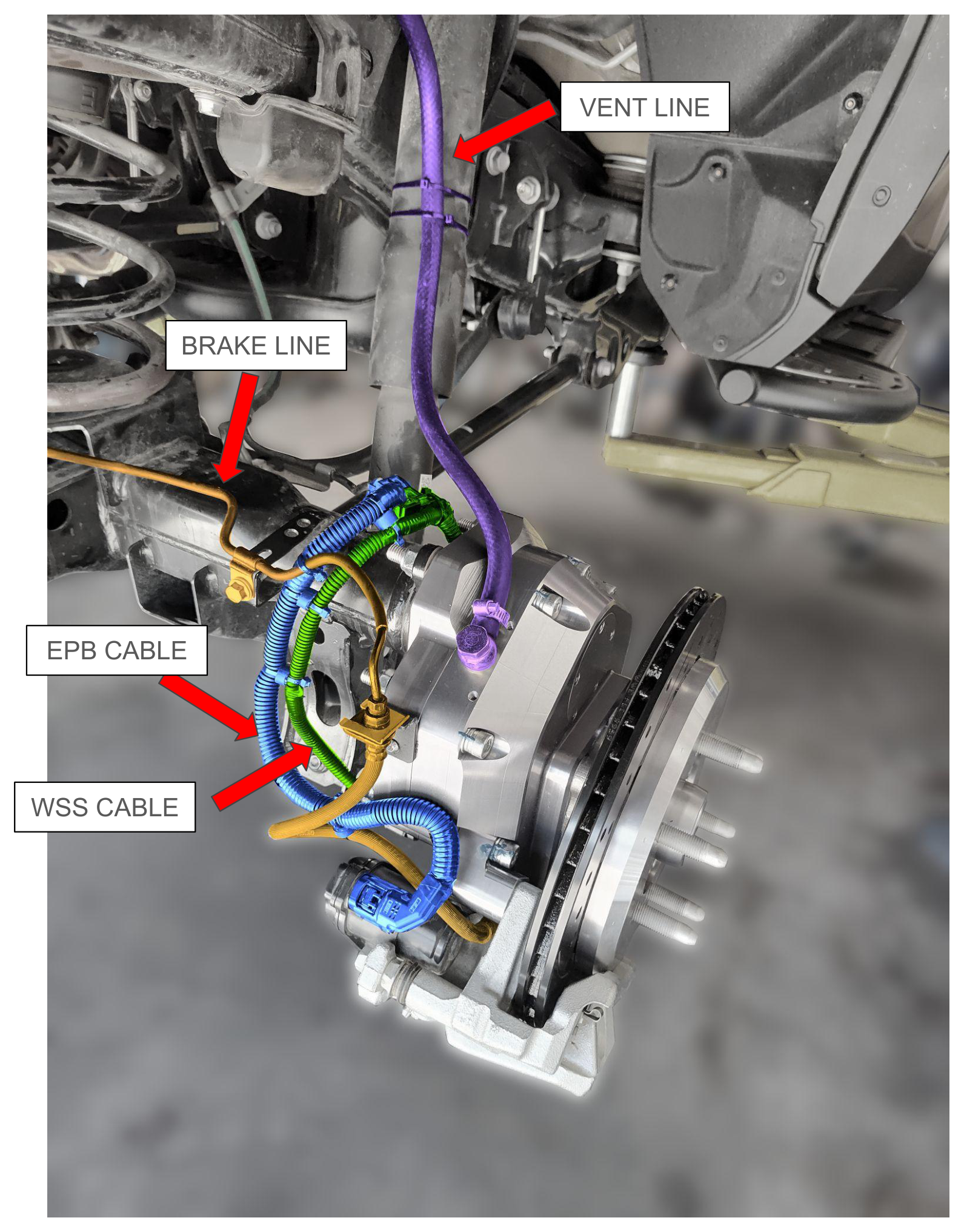 Rear portal cable routing — vent line, brake line, EPB cable, WSS cable