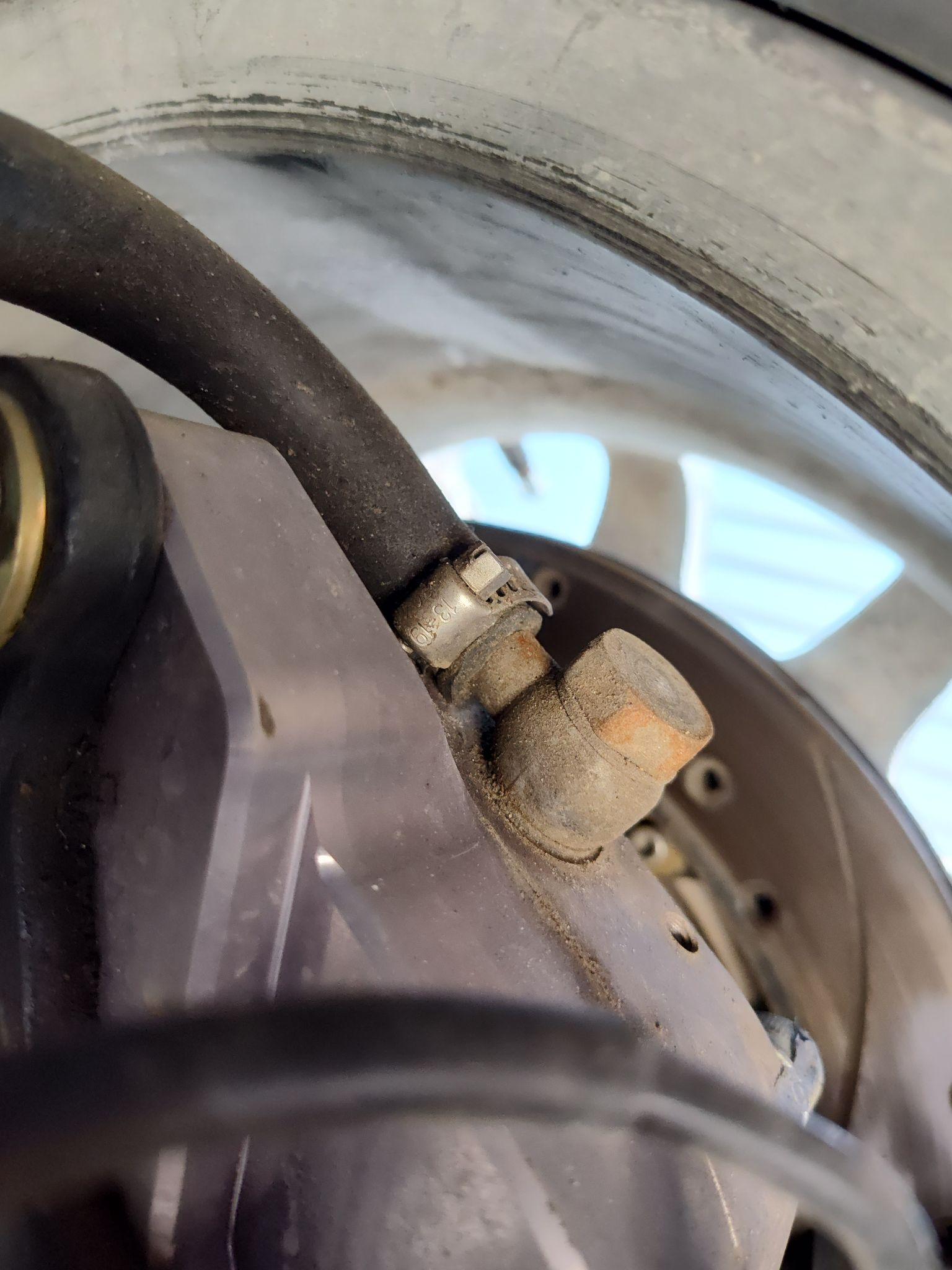 Oil leak diagnosis — clean and re-drive before diagnosing source